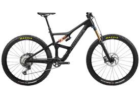 Image result for Orbea umbracula