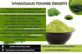 Wheatgrass Powder Benefits Wheat Grass Wheatgrass Powder Wheatgrass Benefits