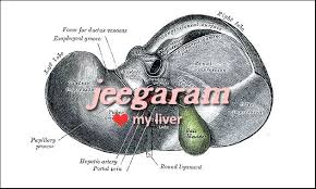12 Things To Call Your Persian Lover Learn Persian Languages Online Foreign Language Quotes