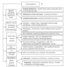 Cbse Class 12 Biology Reproductive Health Flow Chart