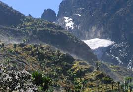 Climbing africa's 3rd and 4th highest mountains. Climate Change In The Rwenzori Mountains Of East Africa Ucl Department Of Geography