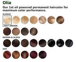 Cosmetic Chemist Review Ingredients Garnier Olia Oil Powered Permanent Hair Color Is Water Or Oil Based Hair Color Better Beautystat Com Garnier Olia Cool Hair Color Permanent Hair Color