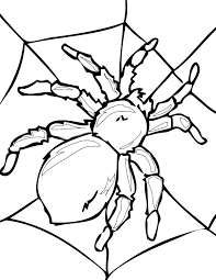 Draw a spider coloring page. Free Printable Spider Coloring Pages For Kids
