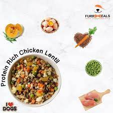 Homecookedfoodforpetsindelhi Freshfoodsupplierfordogsindelhi Homecookeddogfoodsupplierindelhi Hea Healthy Dog Food Recipes Cook Dog Food Dog Food Recipes