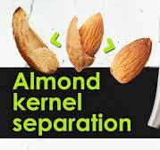 Almond De-Shelling Made Easy. Almond Kernel and Shell ...