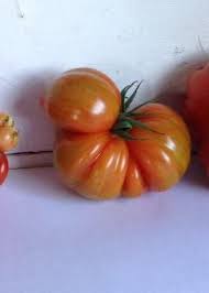 Pin On Wonderfully Wonky Fruit Veg