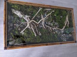 Reptile cage reptile enclosure coffee table vivarium frog terrarium terrariums terrarium ideas frog tank bearded dragon terrarium bearded dragon habitat. Terrarium Coffee Table Boing Boing