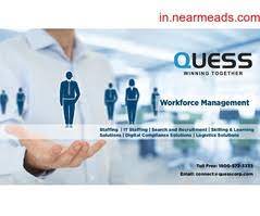 Our technology consulting solutions range from strategy development through design, implementation and managed services. Workforce Management Staffing Solutions It Staffing