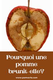 Quelles Sont Les Parties De La Pomme In 2020 Food Fruit Bagel