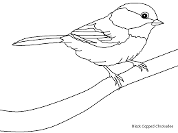 Découvrez nos jeux de coloriage d'animaux pour passer un bon moment. Oiseau Blue Coloriage Oiseau Coloriage Dessin Oiseau Oiseaux A Colorier