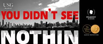 YOU DIDN'T SEE NOTHIN