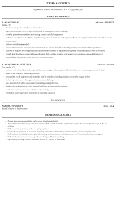 lead custodian resume sample mintresume