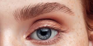 Once applied, our eyebrow tattoos do not smudge or smear away. These Realistic Temporary Eyebrow Tattoos Have Tiktok Obsessed Allure