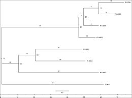5.2 eukaryotic cell envelopes 1. Salmonella Enterica Subsp Enterica Serovar Heidelberg Food Isolates Associated With A Salmonellosis Outbreak Have Enhanced Stress Tolerance Capabilities Applied And Environmental Microbiology