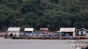 Tahun Ini Ditargetkan Bendungan Jatiluhur Zero Keramba Jaring Apung Tribunnews Com Mobile