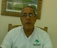 Director provincial Medio Ambiente asegura eliminará propaganda política  que arropa calles de Santiago