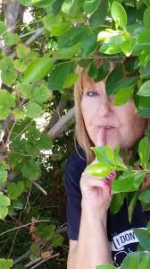 Which name do you like best for the cop series?