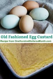Old Fashioned Egg Custard Recipe One Hundred Dollars A Month Recipe Old Fashioned Egg Custard Recipe Egg Custard Recipes Custard Recipes