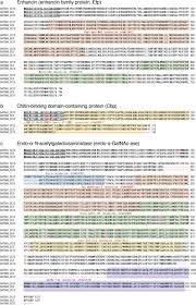 Check spelling or type a new query. Peritrophic Matrix Degrading Proteins Are Dispensable Virulence Factors In A Virulent Melissococcus Plutonius Strain Scientific Reports