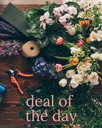 The down town to keep you energized, the coast to keep you grounded, and the heights to bring it all together. Deal Of The Day In Alexandria La House Of Flowers