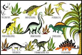 Dinosaur Name Chart Dino Raw
