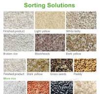 Wesort Rice Color Sorter–6SXM-90 – colour sorting machine ...