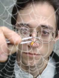 The Pathological Pursuit of Profit and Power Solving the Mysteries of  Spider Silk