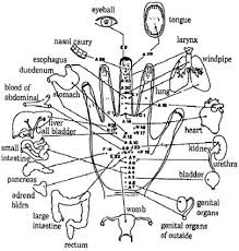 hand reflexology research scientific reports