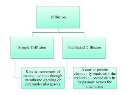 Atp hydrolysis drives aquaporin transport. Lec 3 Membrane Transport Ppt Video Online Download