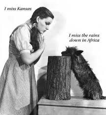 Wizard Of Oz Toto Meme Funny Pictures I Love To Laugh Make Me Laugh