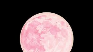 But when is the next full april 27 marked the rising of the pink moon in 2021, the fourth of the year. Rosa Vollmond Am 08 04 2020 Riesiger Pink Moon Erhellt Heute Den Himmel News De