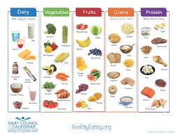 healthy food chart infographic illustration of a plate nutrition