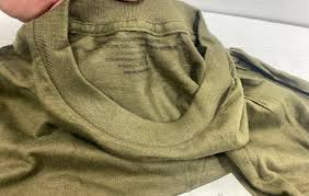 Image result for Olive Drab 1990 US Government