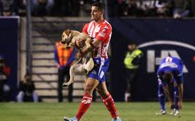 We did not find results for: Noticias De Atletico San Luis En Mediotiempo Mediotiempo