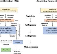 Production of short-chain fatty acids (SCFAs) as chemicals ...