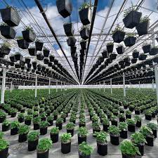 Glow Gardens Garden Centre Various Locations Calgary To Do Canada