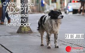 Cada 21 de julio homenajeamos a un animal de cuatro patas fiel e incondicional, considerado el mejor amigo del hombre. Tapitas Oportunidades On Twitter Hoy Es El Dia Internacional Del Perro Callejero Un Dia Como El De Hoy No Deberia Existir No Tendrian Que Haber Animales Callejeros Si Todos Nos Comprometemos A