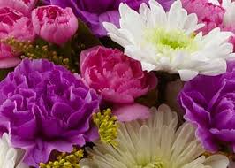 Maybe you would like to learn more about one of these? About Us And Business Hours The Flower Box Vero Beach Fl 32960