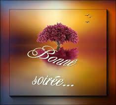 Bonne Soirée, Les Ami(e)s - améthyste