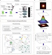 Factors limiting time resolution in gaseous detectors— presentation transcript 27 limits on timing resolution in gaseous detectors detector technology typical time resolution* pestov. A Review Of Super Resolution Single Molecule Localization Microscopy Cluster Analysis And Quantification Methods Sciencedirect