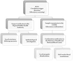 Mosquito Borne Diseases And One Health The Northwestern