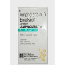 Image result for Amphotericin B