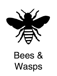 Expert pest control handles my pest control needs for me. Expert Pest Control