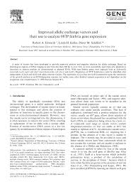 Image result for Champaign 1997 Vector