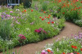 Jan 27, 2021 · wild strawberries and most of the strawberry varieties available from nurseries all have white flowers. Go Gardening Helping New Zealand Grow Garden Inspiration Tips And Advice From The Expert