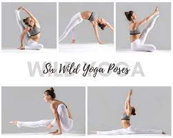 We have listed some of the best yoga exercises and positions with pictures that will help you perform them. Advanced Yoga Poses Cheap Online