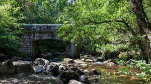 Visiting Shaugh Bridge, Dartmoor