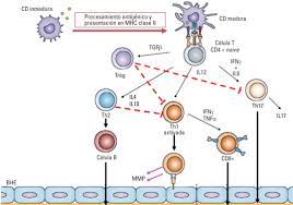 Phi t r soc lon biol sci, 354 (1999), pp. Esclerosis Multiple Sciencedirect