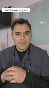 Cardioimagen (@cardioimagenvet) • Instagram photos and videos