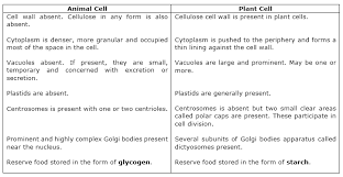 Plant cells are more similar in. Icsepapers Major Differences Between Animal Cell And Plant Cell